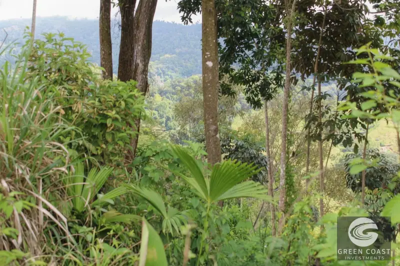 Chontales Forest View Lot | 1.87 Acres of Serene Mountain Jungle with Utilities Ready — view 6, Barú, Pérez Zeledón, Costa Rica