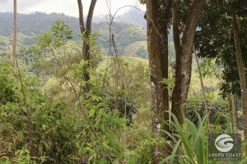 Chontales Forest View Lot | 1.87 Acres of Serene Mountain Jungle with Utilities Ready — view 7, Barú, Pérez Zeledón, Costa Rica