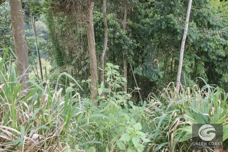 Chontales Forest View Lot | 1.87 Acres of Serene Mountain Jungle with Utilities Ready — view 9, Barú, Pérez Zeledón, Costa Rica