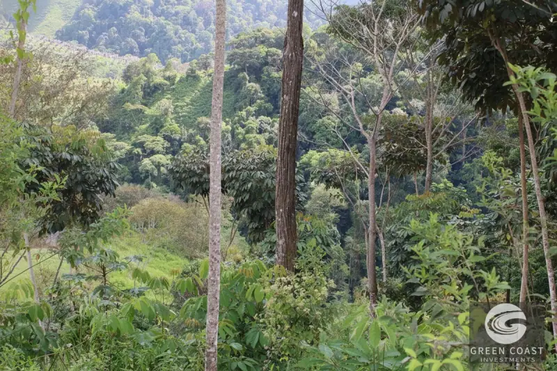Chontales Forest View Lot | 1.87 Acres of Serene Mountain Jungle with Utilities Ready — view 10, Barú, Pérez Zeledón, Costa Rica