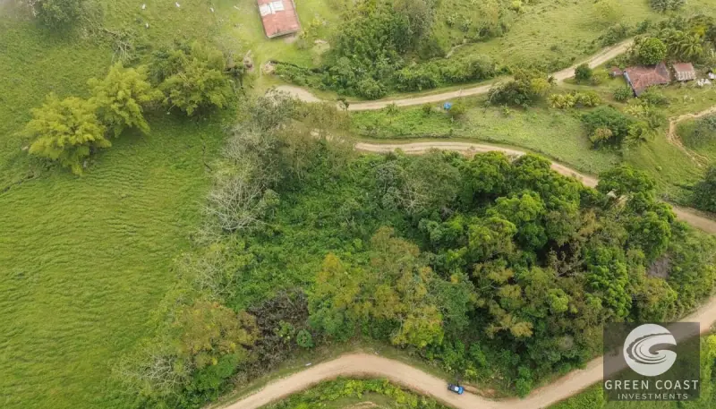Chontales Forest View Lot | 1.87 Acres of Serene Mountain Jungle with Utilities Ready — view 11, Barú, Pérez Zeledón, Costa Rica
