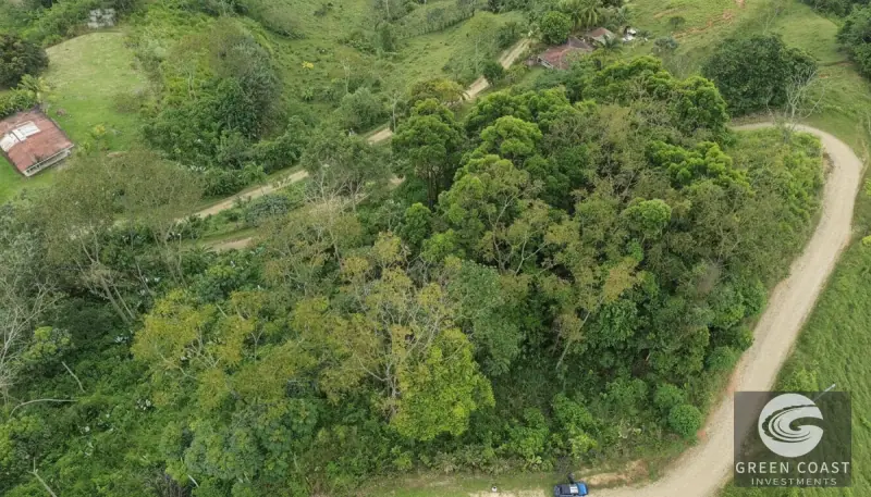 Chontales Forest View Lot | 1.87 Acres of Serene Mountain Jungle with Utilities Ready — view 12, Barú, Pérez Zeledón, Costa Rica