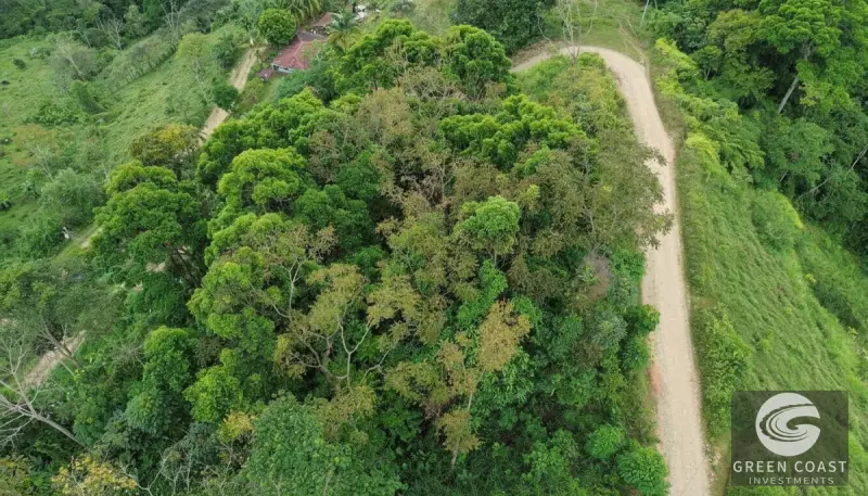 Chontales Forest View Lot | 1.87 Acres of Serene Mountain Jungle with Utilities Ready — view 13, Barú, Pérez Zeledón, Costa Rica