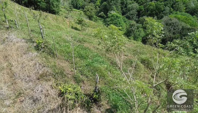 Chontales Riverfront Acreage: 7.4 Acres of Mountain Paradise with Natural Pools — view 15, Pérez Zeledón / San Isidro, Costa Rica
