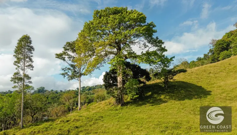 111-Acre Mountain Farm Near Eco-Chontales Waterfall with River Frontage and Panoramic Views — view 12, Barú, Pérez Zeledón, Costa Rica