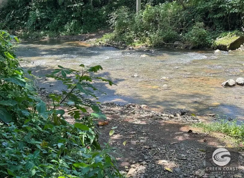 Flat Riverfront Lot Near Dominical Beach – Ready-to-Build Jungle Oasis — view 4, Savegre, Quepos, Costa Rica