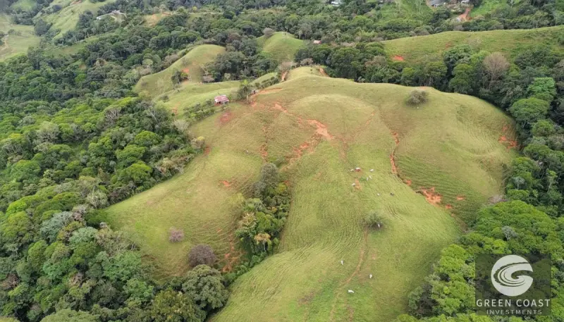 42-Acre Platanillo Mountain Farm with Ocean-View Ridges and Development-Ready Pastures — view 3, Barú, Pérez Zeledón, Costa Rica