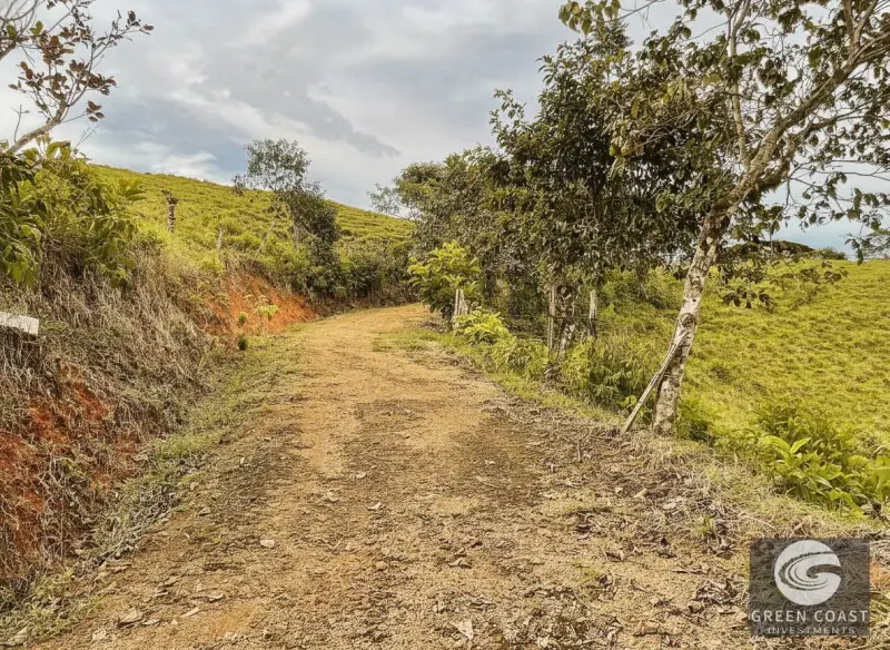 42-Acre Platanillo Mountain Farm with Ocean-View Ridges and Development-Ready Pastures — view 4, Barú, Pérez Zeledón, Costa Rica