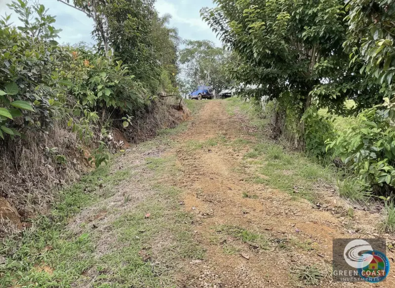 42-Acre Platanillo Mountain Farm with Ocean-View Ridges and Development-Ready Pastures — view 5, Barú, Pérez Zeledón, Costa Rica