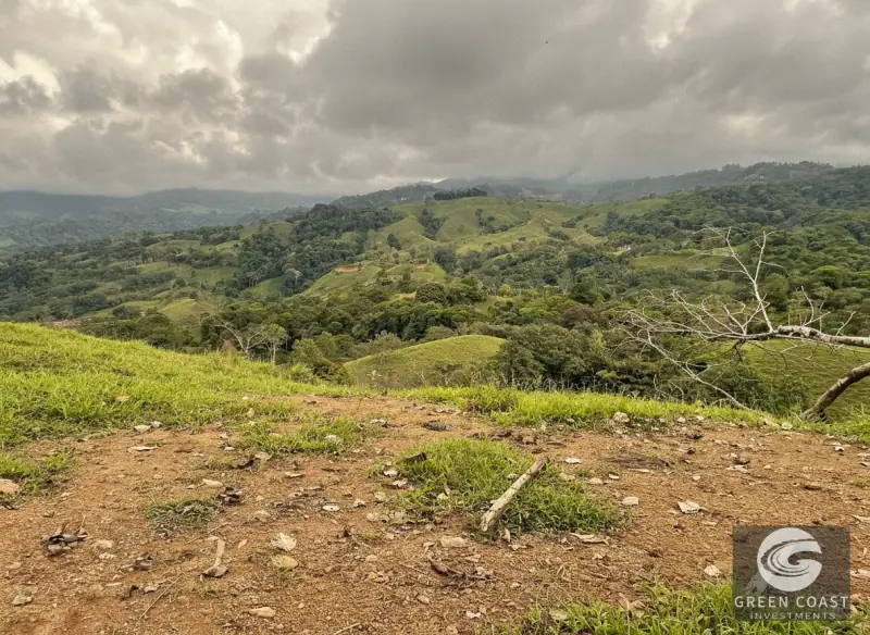 42-Acre Platanillo Mountain Farm with Ocean-View Ridges and Development-Ready Pastures — view 6, Barú, Pérez Zeledón, Costa Rica