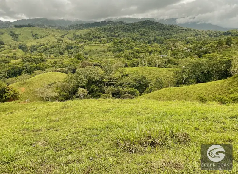 42-Acre Platanillo Mountain Farm with Ocean-View Ridges and Development-Ready Pastures — view 7, Barú, Pérez Zeledón, Costa Rica