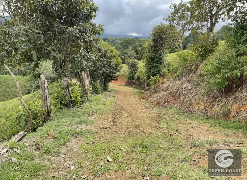 42-Acre Platanillo Mountain Farm with Ocean-View Ridges and Development-Ready Pastures — view 8, Barú, Pérez Zeledón, Costa Rica