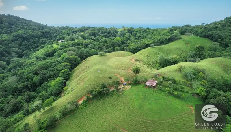 42-Acre Platanillo Mountain Farm with Ocean-View Ridges and Development-Ready Pastures — view 9, Barú, Pérez Zeledón, Costa Rica