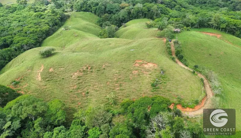 42-Acre Platanillo Mountain Farm with Ocean-View Ridges and Development-Ready Pastures — view 10, Barú, Pérez Zeledón, Costa Rica