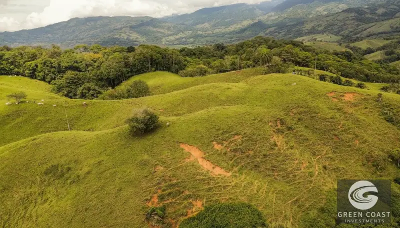 42-Acre Platanillo Mountain Farm with Ocean-View Ridges and Development-Ready Pastures — view 11, Barú, Pérez Zeledón, Costa Rica