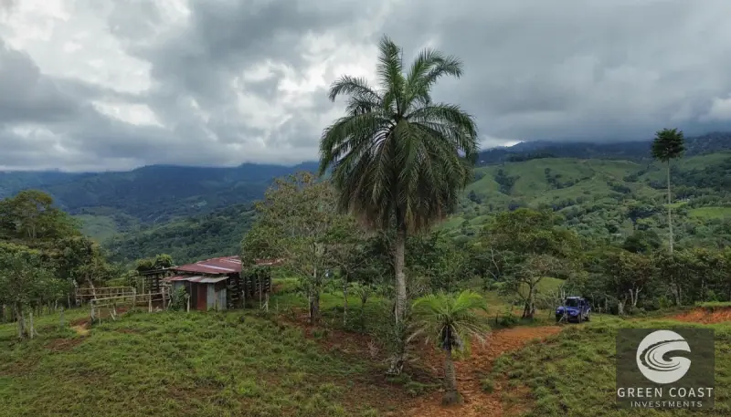 42-Acre Platanillo Mountain Farm with Ocean-View Ridges and Development-Ready Pastures — view 12, Barú, Pérez Zeledón, Costa Rica