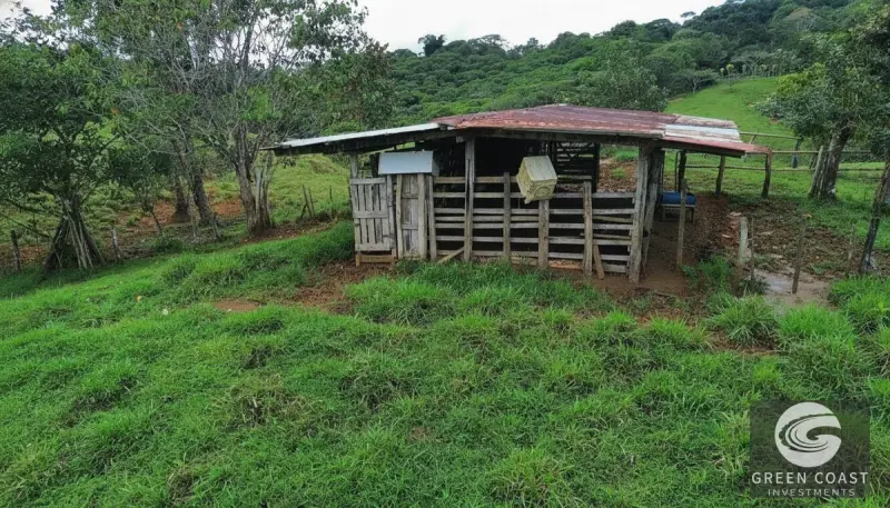 42-Acre Platanillo Mountain Farm with Ocean-View Ridges and Development-Ready Pastures — view 13, Barú, Pérez Zeledón, Costa Rica