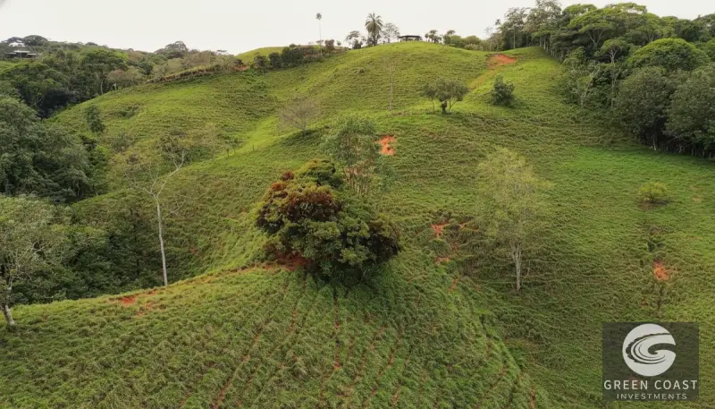 42-Acre Platanillo Mountain Farm with Ocean-View Ridges and Development-Ready Pastures — view 14, Barú, Pérez Zeledón, Costa Rica