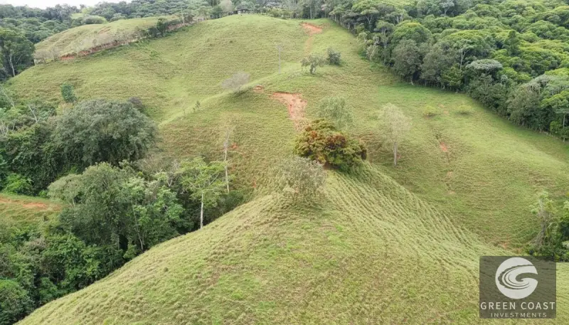 42-Acre Platanillo Mountain Farm with Ocean-View Ridges and Development-Ready Pastures — view 15, Barú, Pérez Zeledón, Costa Rica