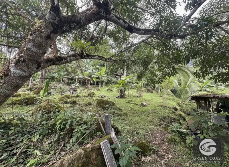 Tinamaste Commercial & Residential Lot: Active Business Space with Mountain Views — view 14, Pérez Zeledón / San Isidro, Costa Rica