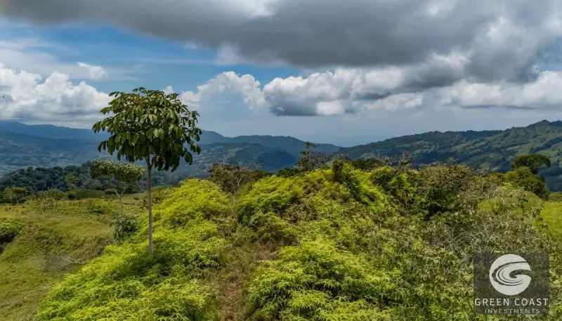 7-Acre Ocean-View Mountain Lot with Natural Spring in Pérez Zeledón — view 8, Pérez Zeledón, Costa Rica