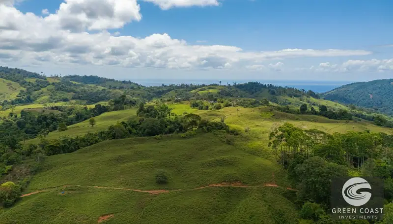 7-Acre Ocean-View Mountain Lot with Natural Spring in Pérez Zeledón — view 15, Pérez Zeledón, Costa Rica