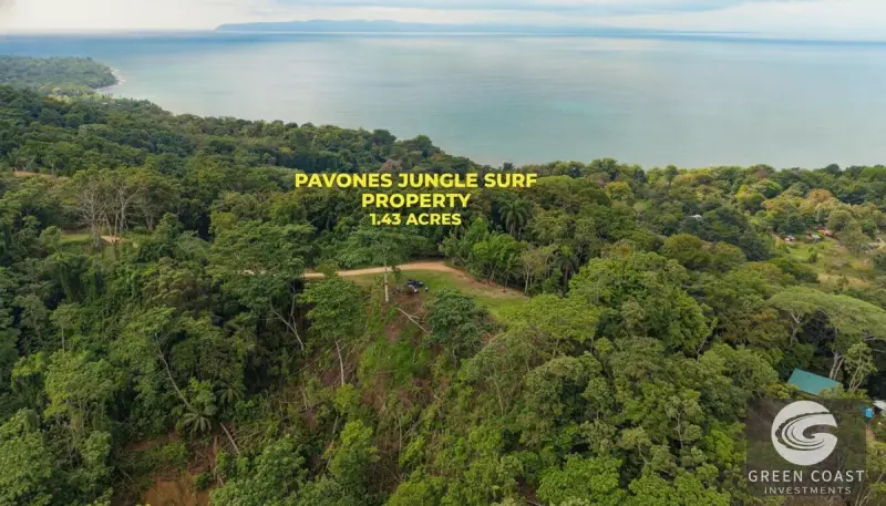 Pavones Jungle Surf Lot: 1.43 Acres of Coastal Paradise Near Punta Saleas — view 1, Pavones, Golfito, Costa Rica