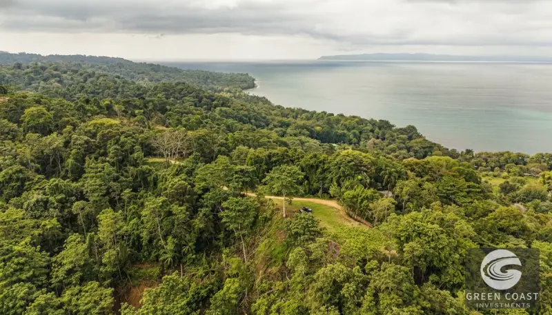 Pavones Jungle Surf Lot: 1.43 Acres of Coastal Paradise Near Punta Saleas — view 2, Pavones, Golfito, Costa Rica