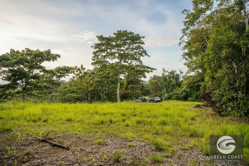Pavones Jungle Surf Lot: 1.43 Acres of Coastal Paradise Near Punta Saleas — view 3, Pavones, Golfito, Costa Rica