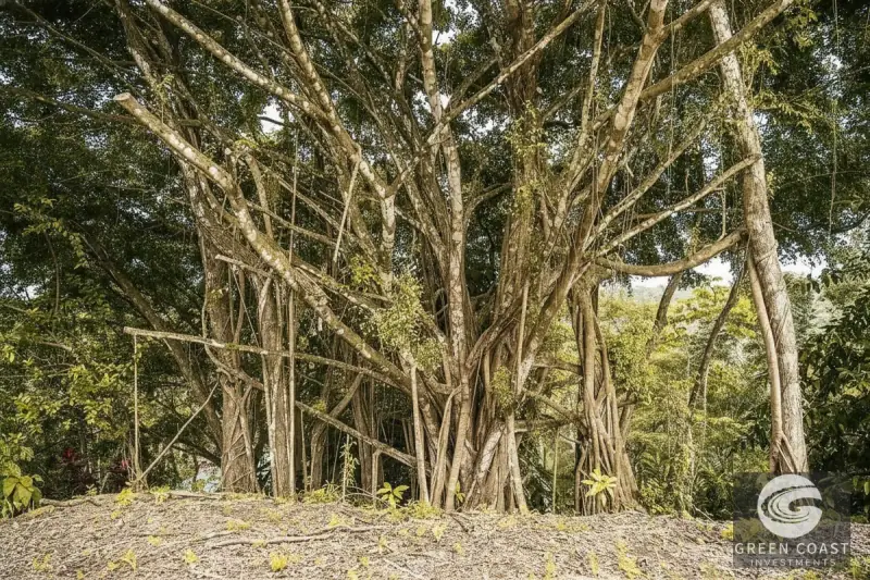 Pavones Jungle Surf Lot: 1.43 Acres of Coastal Paradise Near Punta Saleas — view 4, Pavones, Golfito, Costa Rica