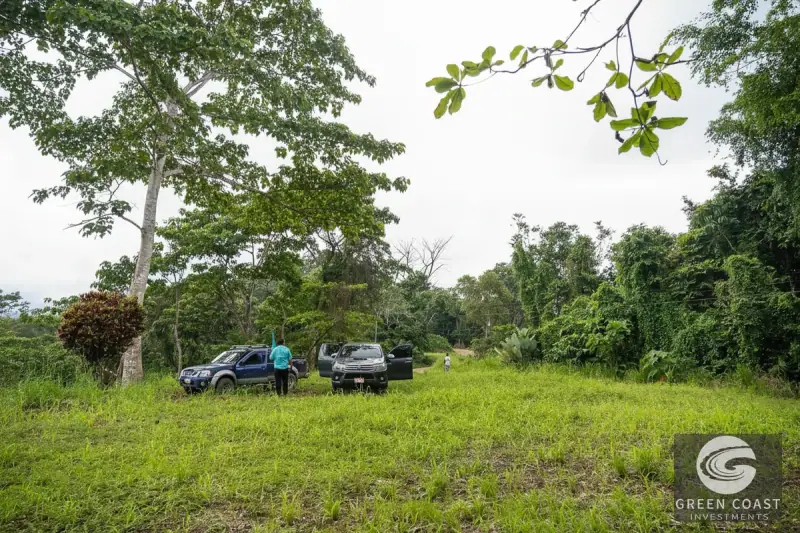 Pavones Jungle Surf Lot: 1.43 Acres of Coastal Paradise Near Punta Saleas — view 5, Pavones, Golfito, Costa Rica
