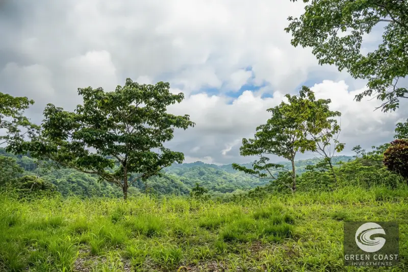 Pavones Jungle Surf Lot: 1.43 Acres of Coastal Paradise Near Punta Saleas — view 6, Pavones, Golfito, Costa Rica