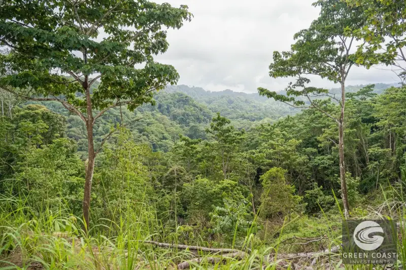 Pavones Jungle Surf Lot: 1.43 Acres of Coastal Paradise Near Punta Saleas — view 7, Pavones, Golfito, Costa Rica