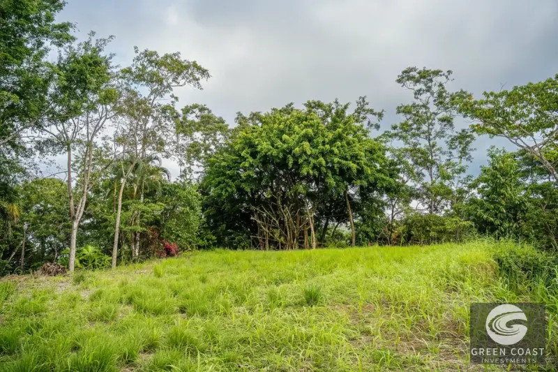 Pavones Jungle Surf Lot: 1.43 Acres of Coastal Paradise Near Punta Saleas — view 8, Pavones, Golfito, Costa Rica