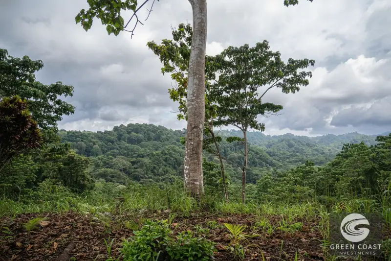 Pavones Jungle Surf Lot: 1.43 Acres of Coastal Paradise Near Punta Saleas — view 9, Pavones, Golfito, Costa Rica