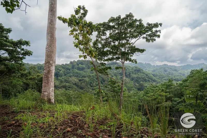 Pavones Jungle Surf Lot: 1.43 Acres of Coastal Paradise Near Punta Saleas — view 10, Pavones, Golfito, Costa Rica