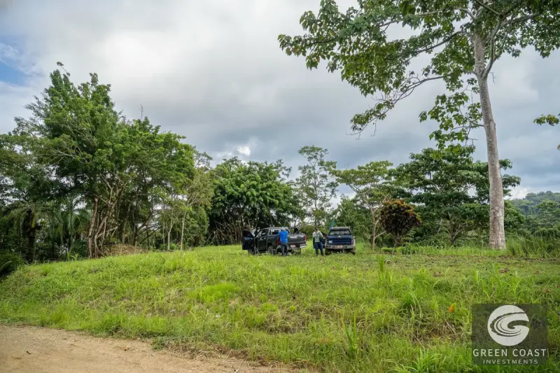 Pavones Jungle Surf Lot: 1.43 Acres of Coastal Paradise Near Punta Saleas — view 12, Pavones, Golfito, Costa Rica