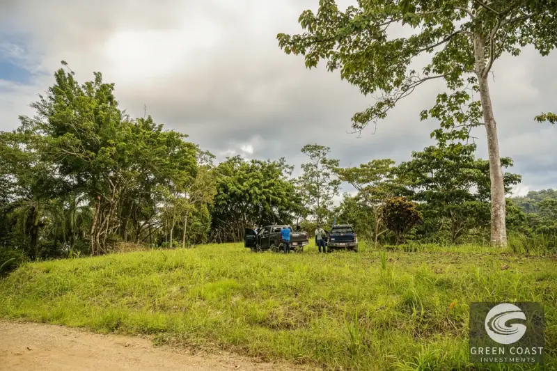 Pavones Jungle Surf Lot: 1.43 Acres of Coastal Paradise Near Punta Saleas — view 13, Pavones, Golfito, Costa Rica