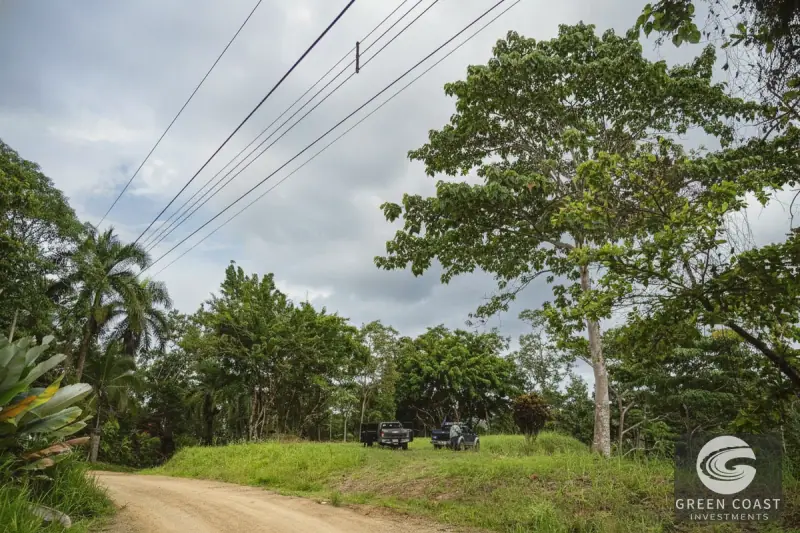 Pavones Jungle Surf Lot: 1.43 Acres of Coastal Paradise Near Punta Saleas — view 15, Pavones, Golfito, Costa Rica