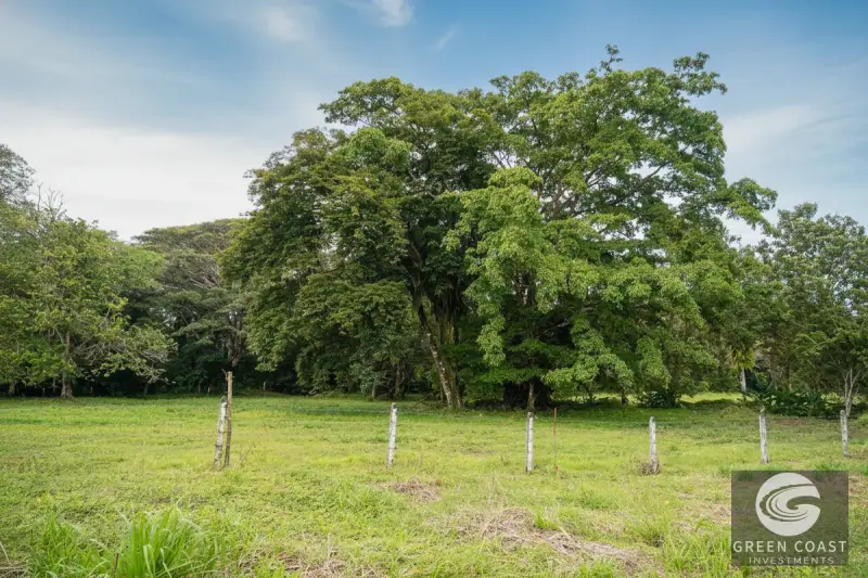 Prime 4.2-Acre Development Land Near Pavones Beach | Ideal for Boutique Hospitality — view 10, Pavones, Golfito, Costa Rica