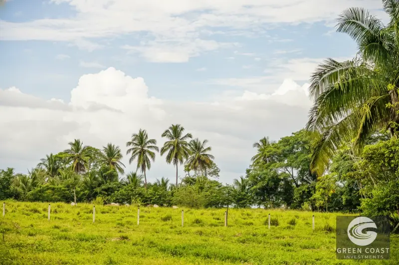 Prime 4.2-Acre Development Land Near Pavones Beach | Ideal for Boutique Hospitality — view 12, Pavones, Golfito, Costa Rica
