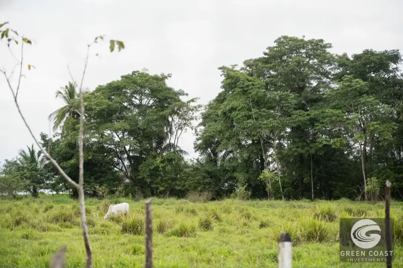 Prime 4.2-Acre Development Land Near Pavones Beach | Ideal for Boutique Hospitality — view 13, Pavones, Golfito, Costa Rica