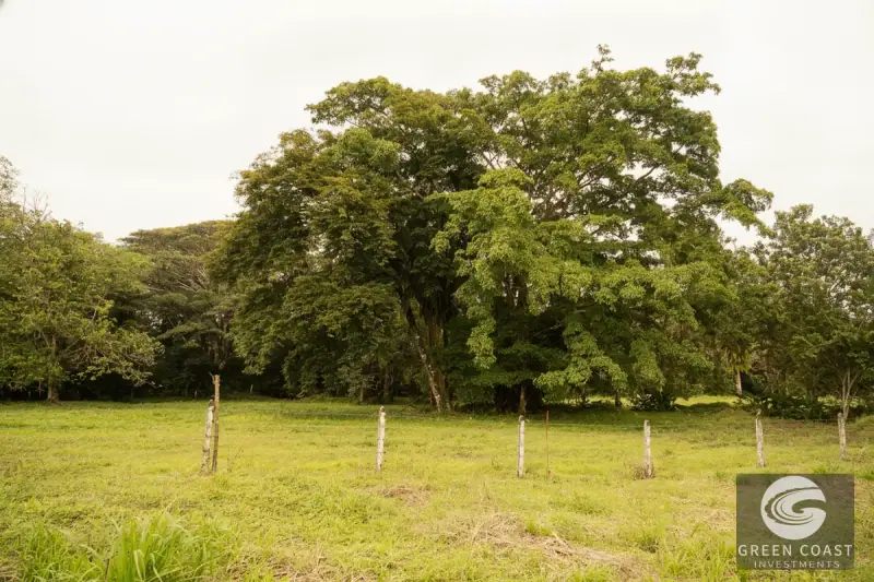 6-Acre Pavones Development Lot: Prime Coastal Investment Near the Surf — view 10, Pavones, Golfito, Costa Rica