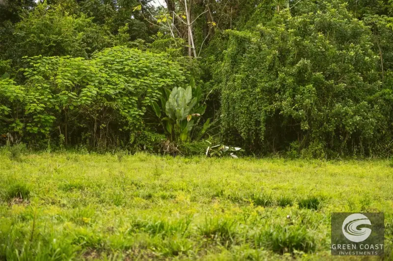 6-Acre Pavones Development Lot: Prime Coastal Investment Near the Surf — view 13, Pavones, Golfito, Costa Rica