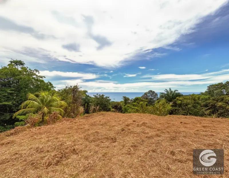5-Acre Dominicalito Hills Ocean View Estate: Luxury Development Land with Natural Waterfall — view 9, Dominicalito, Osa, Costa Rica