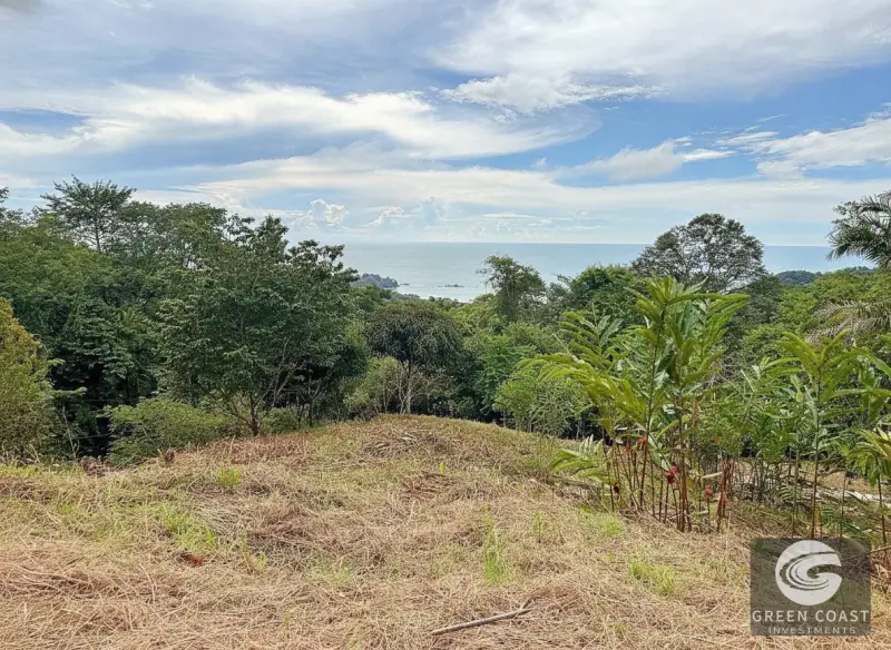 5-Acre Dominicalito Hills Ocean View Estate: Luxury Development Land with Natural Waterfall — view 24, Dominicalito, Osa, Costa Rica
