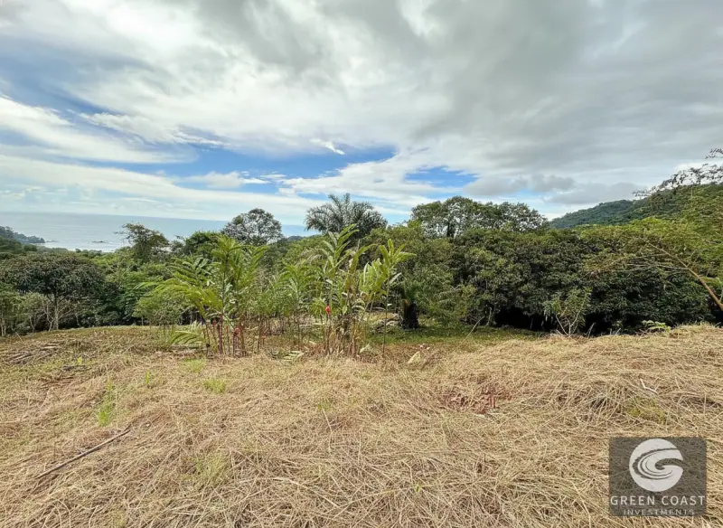 5-Acre Dominicalito Hills Ocean View Estate: Luxury Development Land with Natural Waterfall — view 26, Dominicalito, Osa, Costa Rica
