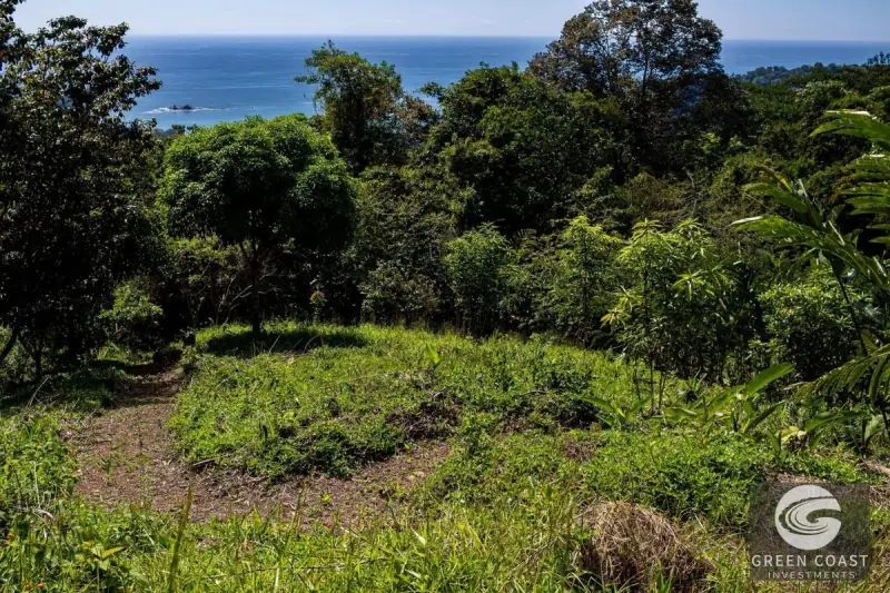 5-Acre Dominicalito Hills Ocean View Estate: Luxury Development Land with Natural Waterfall — view 30, Dominicalito, Osa, Costa Rica
