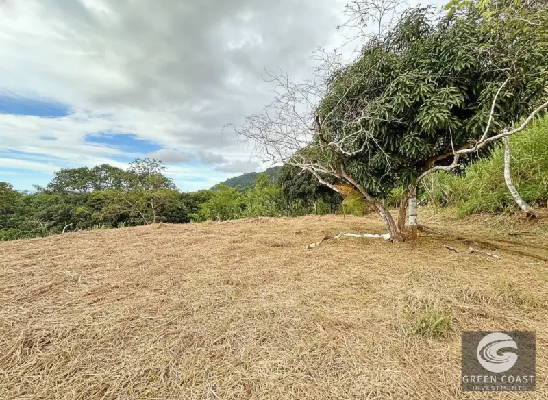 5-Acre Dominicalito Hills Ocean View Estate: Luxury Development Land with Natural Waterfall — view 33, Dominicalito, Osa, Costa Rica