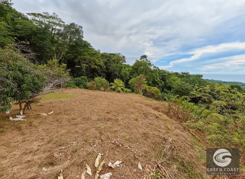 5-Acre Dominicalito Hills Ocean View Estate: Luxury Development Land with Natural Waterfall — view 42, Dominicalito, Osa, Costa Rica